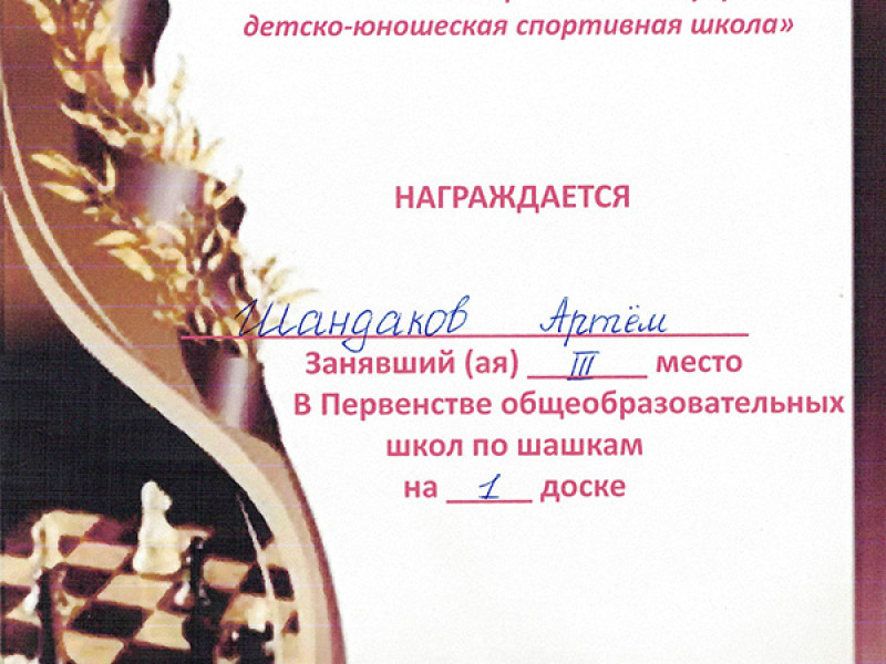Первенство общеобразовательных школа по шашкам и шахматам.